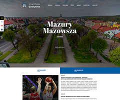 Urząd Miasta w Gostyninie - projekt: strona główna