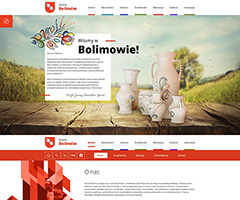 Urząd Gminy w Bolimowie - projekt: strona główna